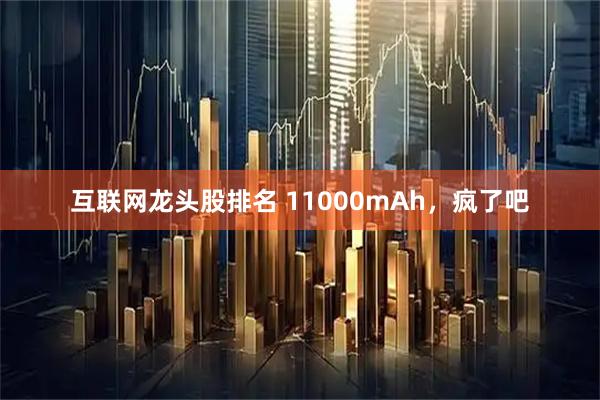 互联网龙头股排名 11000mAh，疯了吧